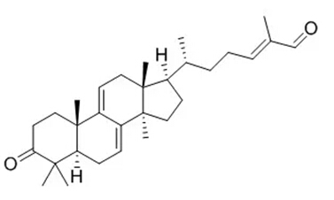 5e23cca916be1.jpg 21.jpg